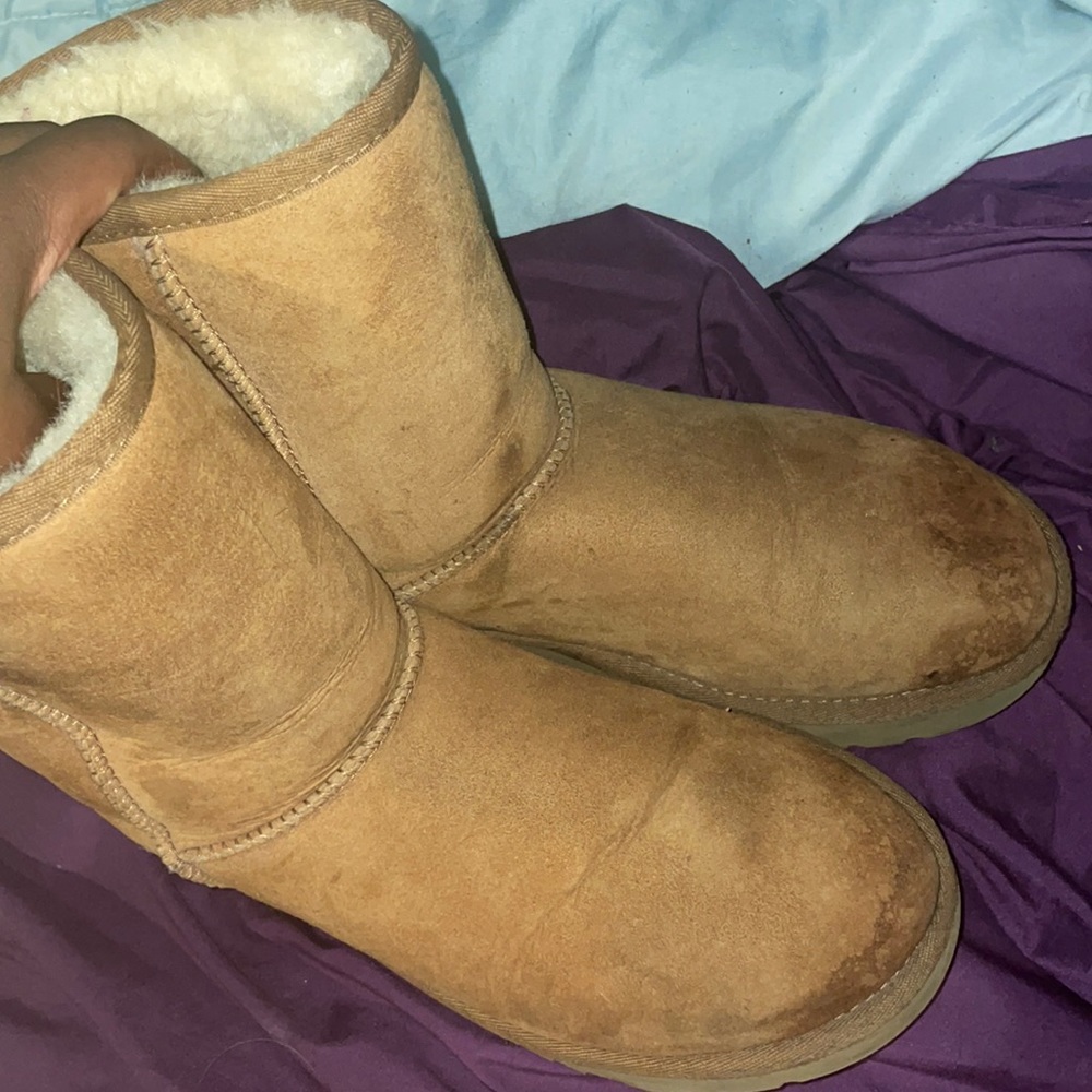 Chestnut Ugg’s